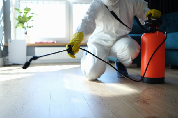 Trusted Sewage Cleanup service in Puyallup, WA - Four Month Blood Cleanse